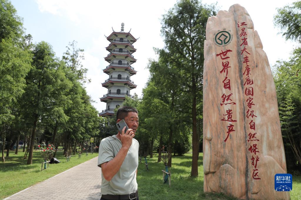 威尼斯游戏网址